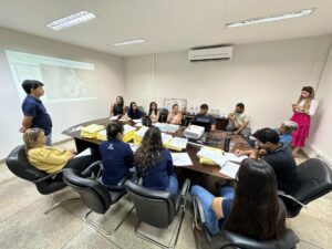 Governo do Tocantins segue na atuação para a regularização do loteamento Coqueirinho/Tiúba