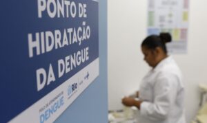 Sobe para 14 número de mortos por dengue no estado do Rio