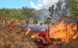 Novo boletim climático do Governo do Tocantins aponta uma redução de 10% na curva de crescimento dos focos de queimadas